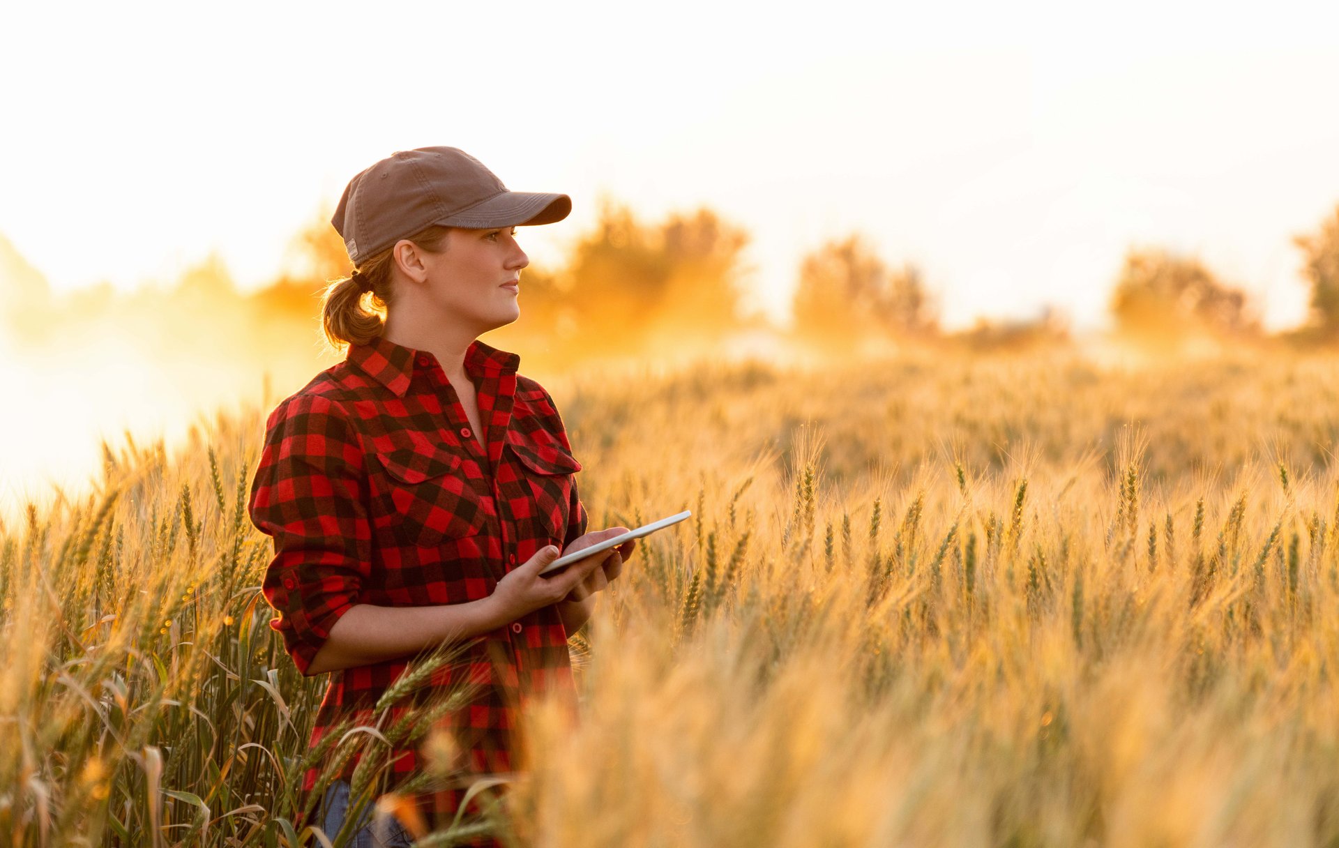 Rural farm with internet connectivity
